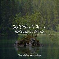 30 Ultimate Mind Relaxation Music