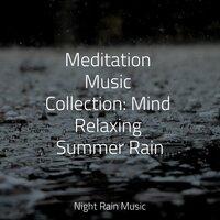 Meditation Music Collection: Mind Relaxing Summer Rain