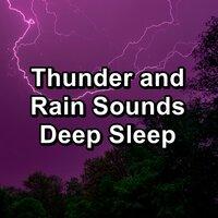 Thunder and Rain Sounds Deep Sleep