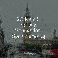 25 Rain & Nature Sounds for Spa & Serenity