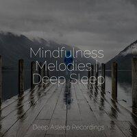 Mindfulness Melodies | Deep Sleep