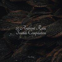 25 Ambient Rain Sounds Compilation