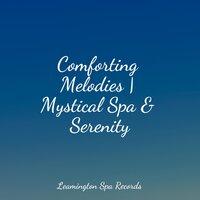 Comforting Melodies | Mystical Spa & Serenity