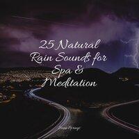 25 Natural Rain Sounds for Spa & Meditation