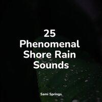 25 Phenomenal Shore Rain Sounds