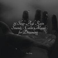 25 Sleep Aid Rain Sounds - Calm Music for Dreaming