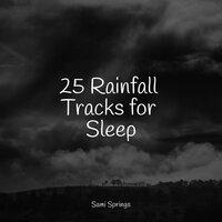25 Rainfall Tracks for Sleep