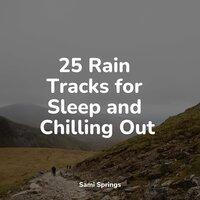 25 Rain Tracks for Sleep and Chilling Out