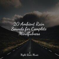 20 Ambient Rain Sounds for Complete Mindfulness