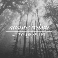 Acoustic Tribute to Taylor Swift, Vol. 3