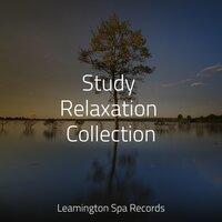 Study Relaxation Collection