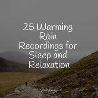 25 Warming Rain Recordings for Sleep and Relaxation
