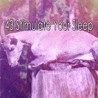 43 Stimulate Your Sleep