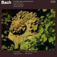 Bach: O holder Tag, erwünschte Zeit, BWV 210 / Amore traditore, BWV 203