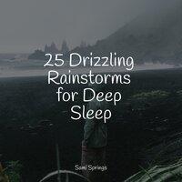 25 Drizzling Rainstorms for Deep Sleep