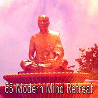 65 Modern Mind Retreat