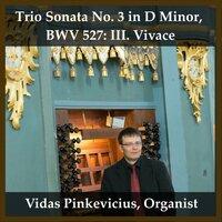 Trio Sonata No. 3 in D Minor, BWV 527: III. Vivace