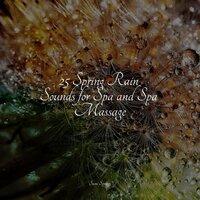 25 Spring Rain Sounds for Spa and Spa Massage