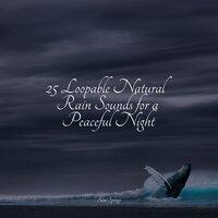 25 Loopable Natural Rain Sounds for a Peaceful Night