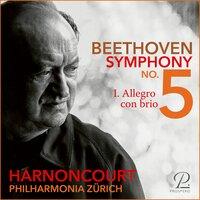 Symphony No. 5: I. Allegro con brio