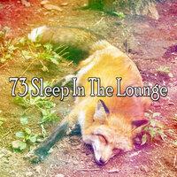 73 Sleep in the Lounge