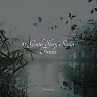 25 Gentle Sleep Rain Tracks