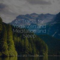 40 Tracks for Yoga, Zen and Meditation and Sleep