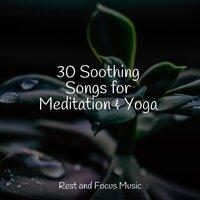30 Soothing Songs for Meditation & Yoga