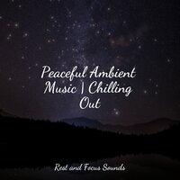 Peaceful Ambient Music | Chilling Out
