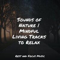 Soothing Melodies | Total Relaxation
