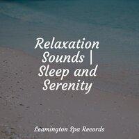 Relaxation Sounds | Sleep and Serenity