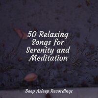 50 Relaxing Songs for Serenity and Meditation