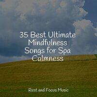35 Best Ultimate Mindfulness Songs for Spa Calmness