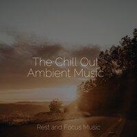 The Chill Out Ambient Music