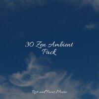30 Zen Ambient Pack