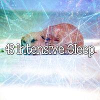 43 Intensive Sleep