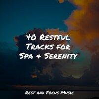 40 Restful Tracks for Spa & Serenity