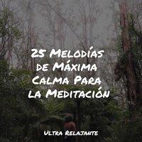 25 Melodías de Máxima Calma Para la Meditación