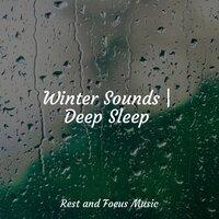 Winter Sounds | Deep Sleep