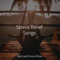 Stress Relief Songs
