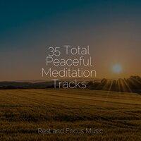 35 Total Peaceful Meditation Tracks
