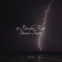 25 Peaceful Rain Shower Tracks