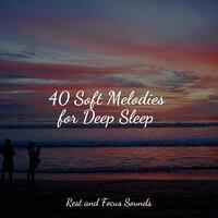 40 Soft Melodies for Deep Sleep