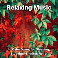 zZZz Relaxing Music to Calm Down, for Sleeping, Studying, Tinnitus Relief