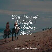 Sleep Through the Night | Comforting Music