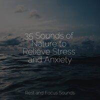 35 Sounds of Nature to Relieve Stress and Anxiety