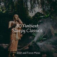 30 Ambient Sleepy Classics