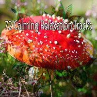 72 Calming Relaxation Tracks