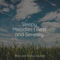 Sleepy Melodies | Rest and Serenity