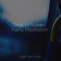 Best of Nature: Rainy Meditation